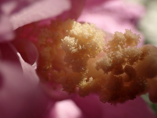 PC092107a
